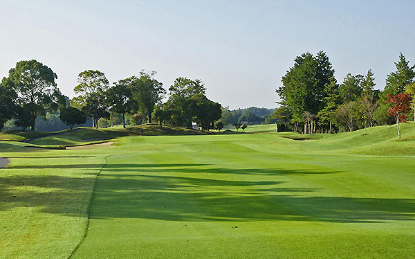 千葉.真名球場揮桿5日~3場球