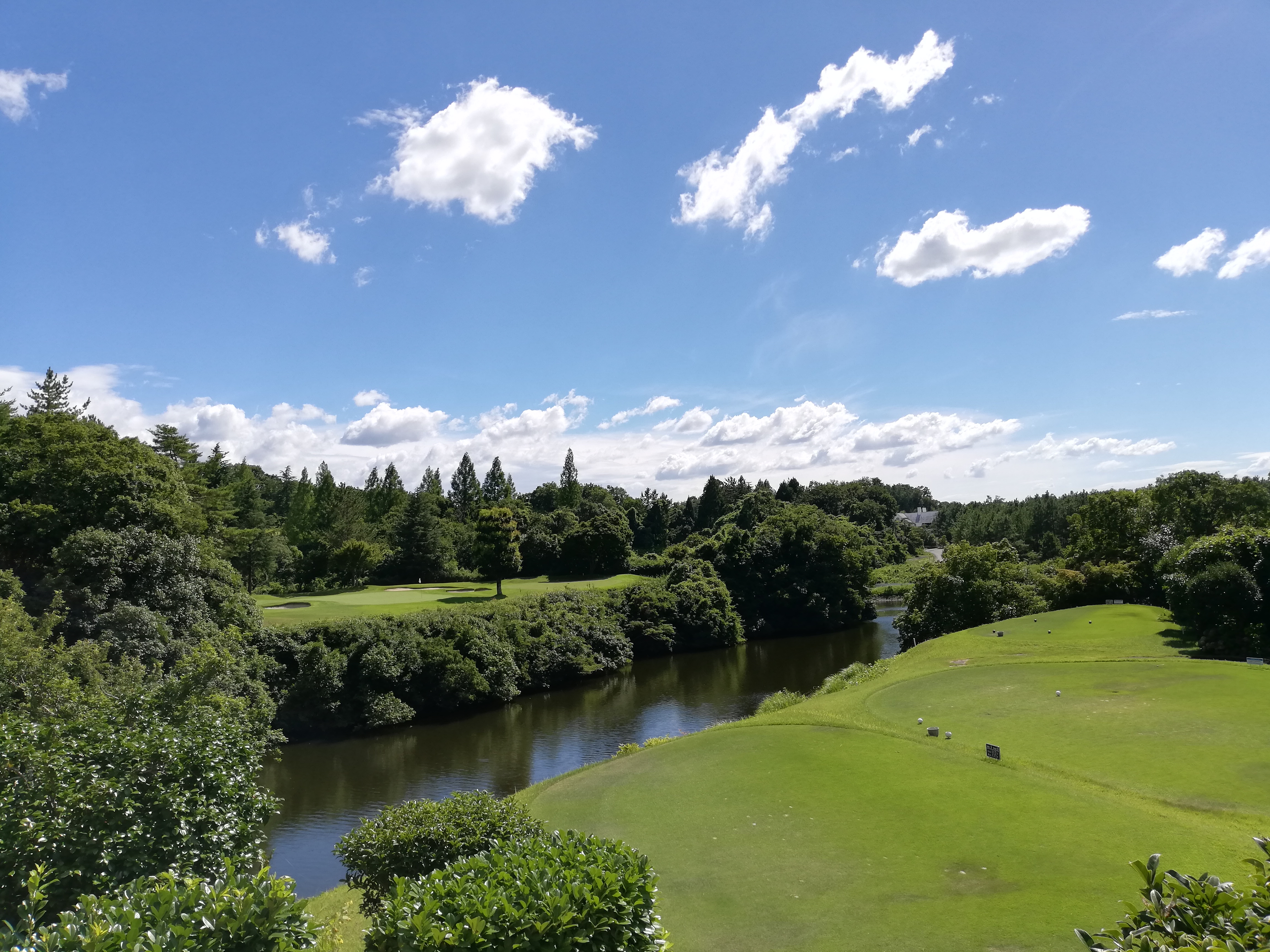 兵庫神戶青野高爾夫揮桿5日~3場球
