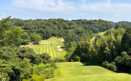 豐田名門球場 × 四季櫻紅葉之旅 5日
